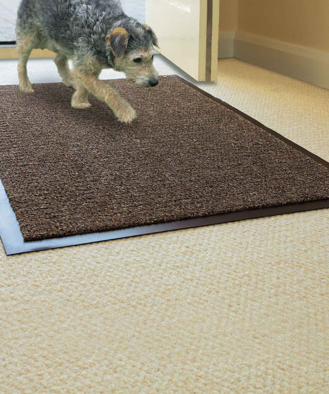 Barrier Entrance Mat
