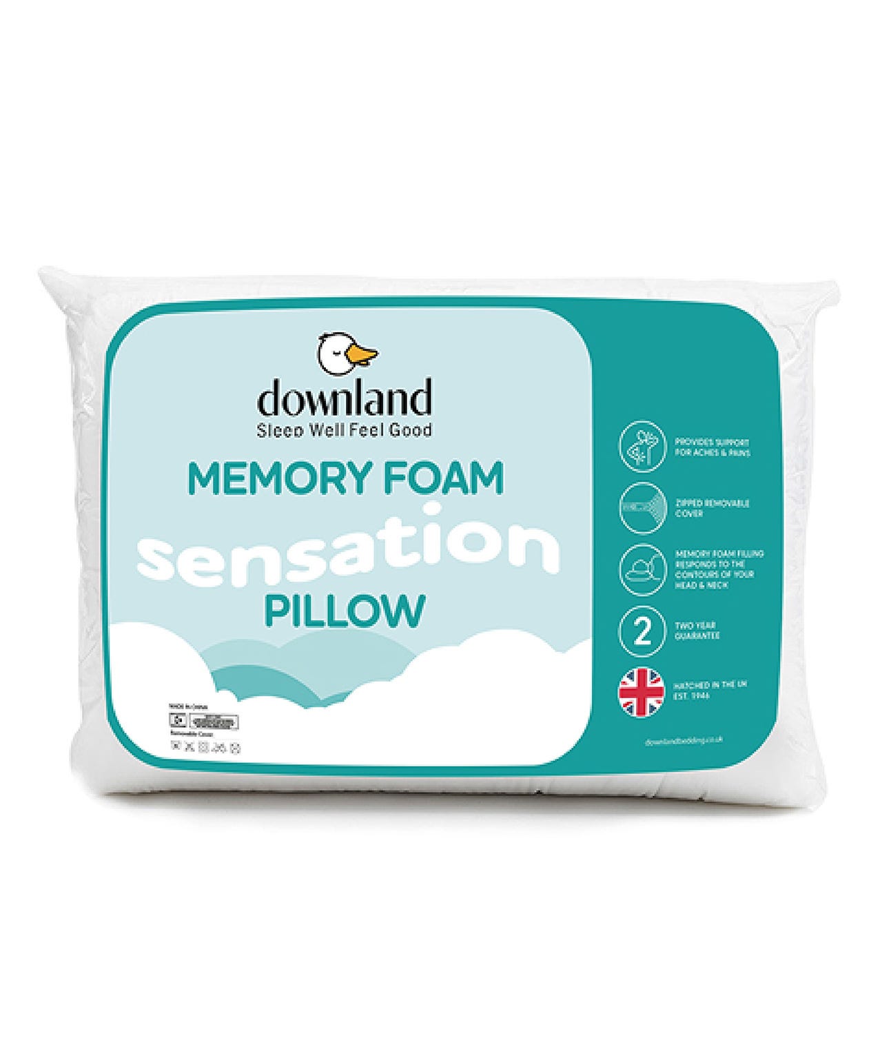 Memory Foam Pillow & Cover
