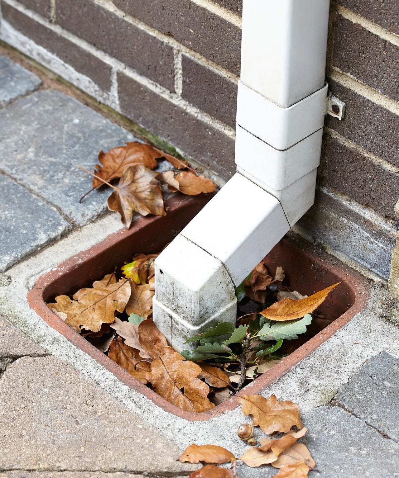 Pack of 2 Drain Covers