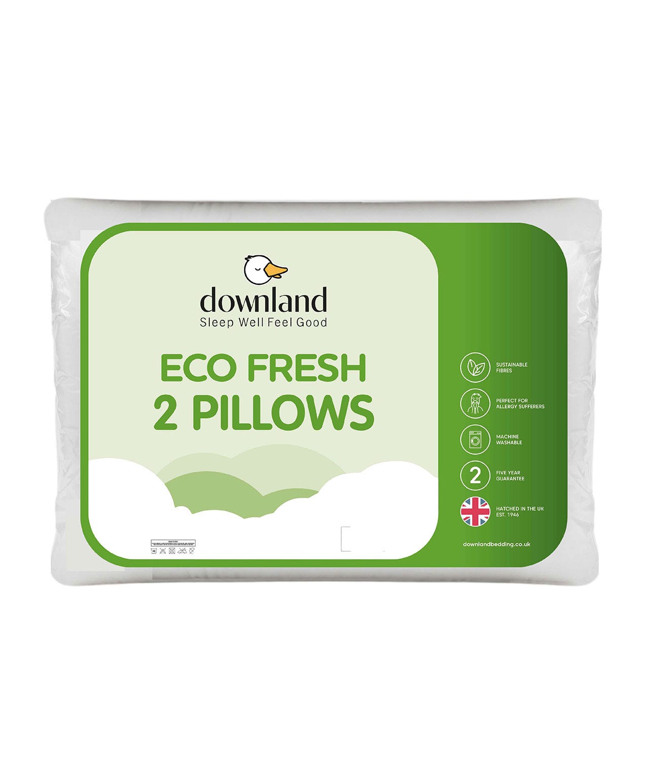 Pack of 2 Eco Pillows