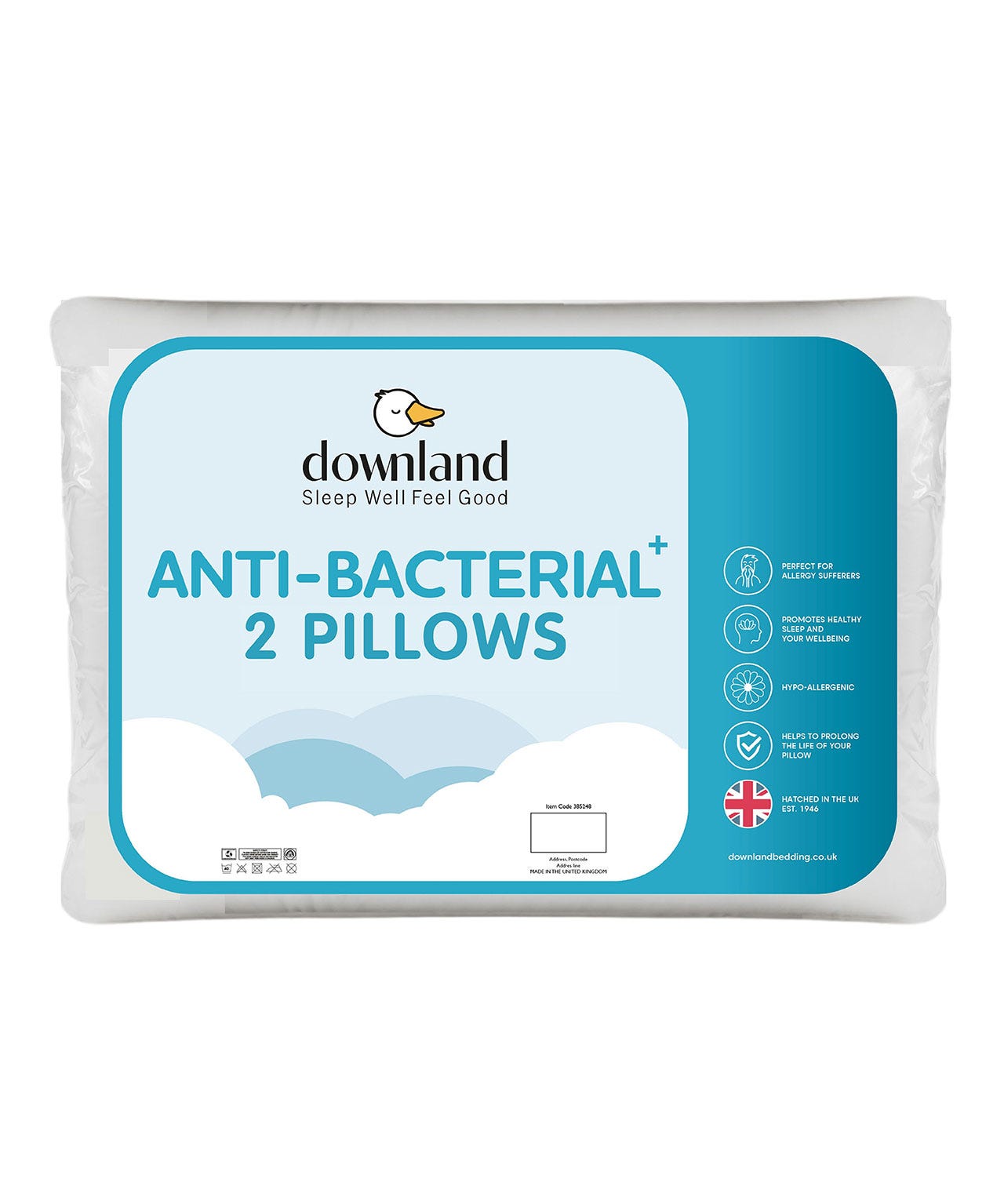 Set of 2 Anti-Bacterial Pillows
