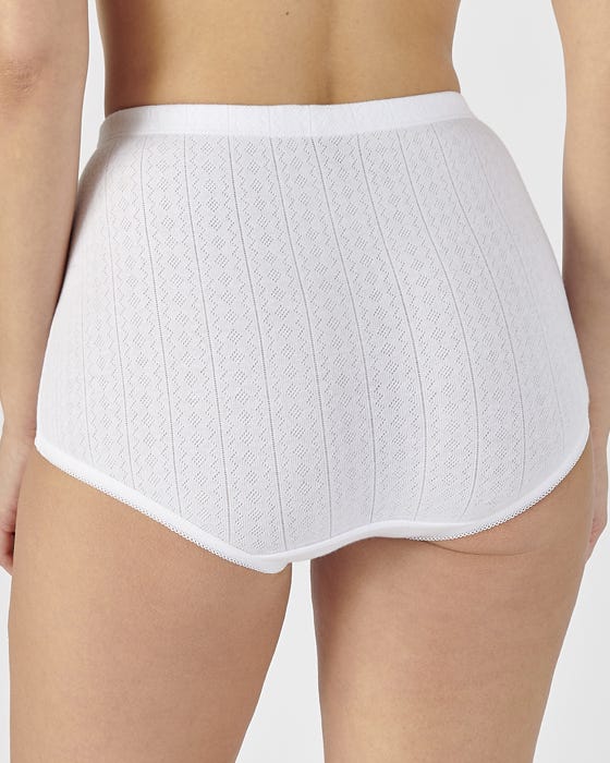 Pack of 4 Maxi Briefs