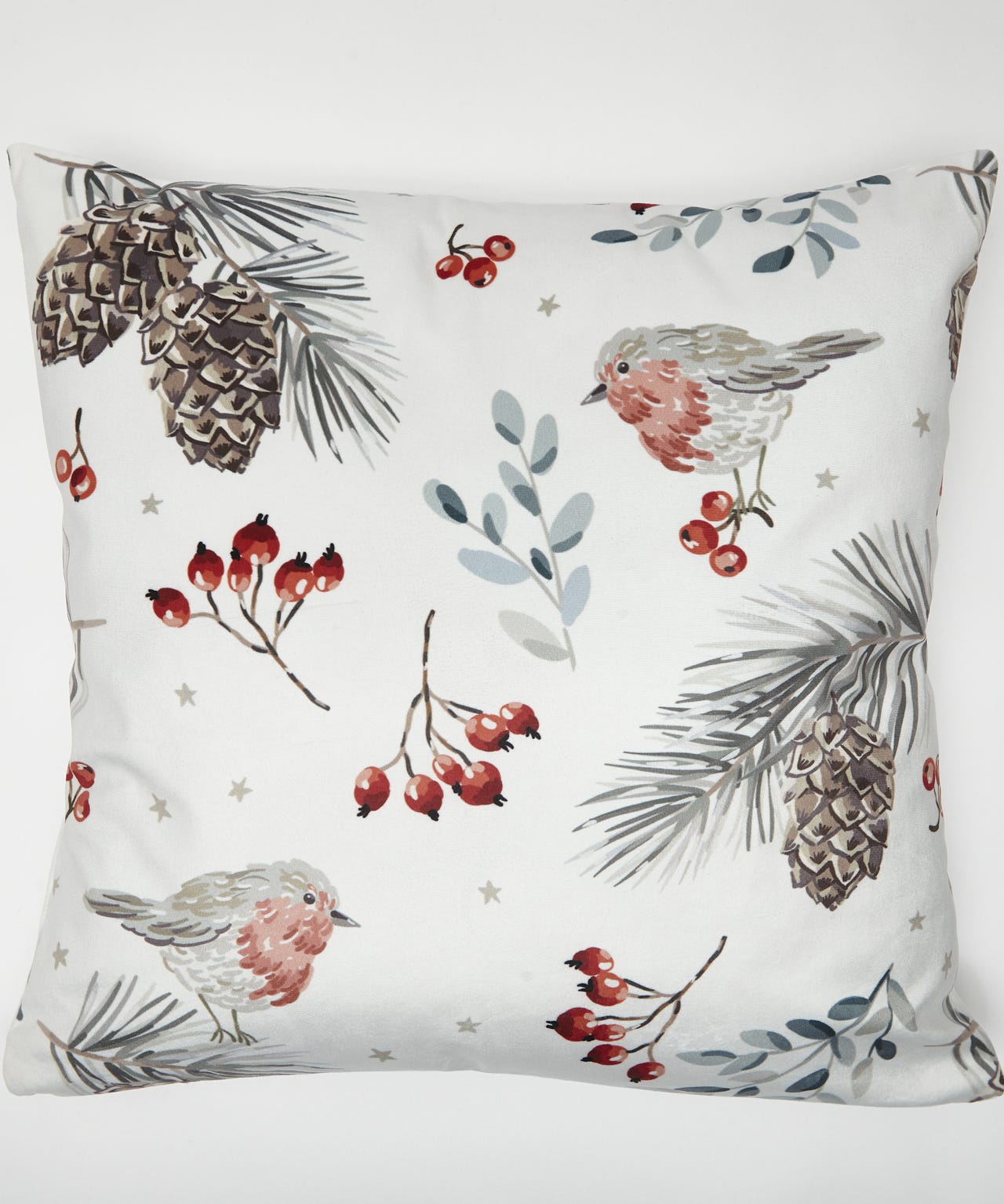 Pack of 2 Robin Cushion Covers