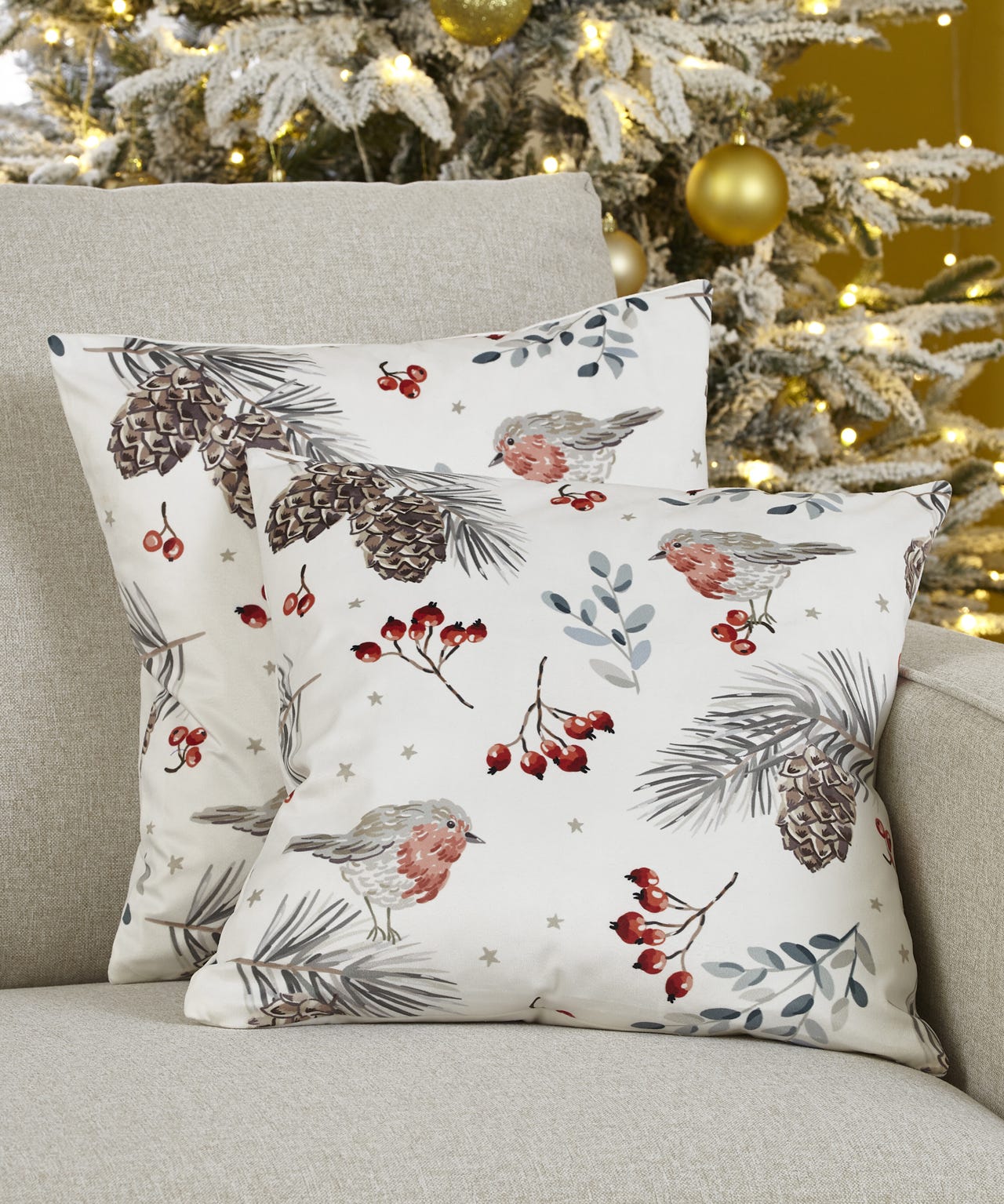 Pack of 2 Robin Cushion Covers