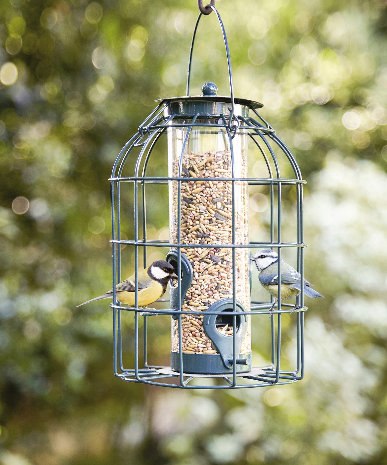 Anti pest bird feeder