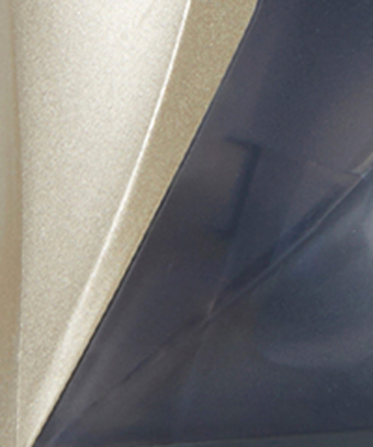 2-in-1 cordless steam iron