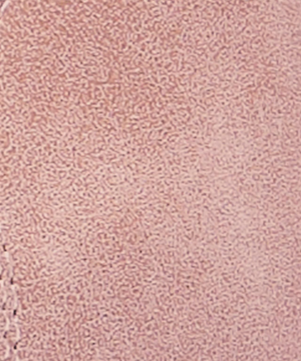 Cushion-Walk Mocassin