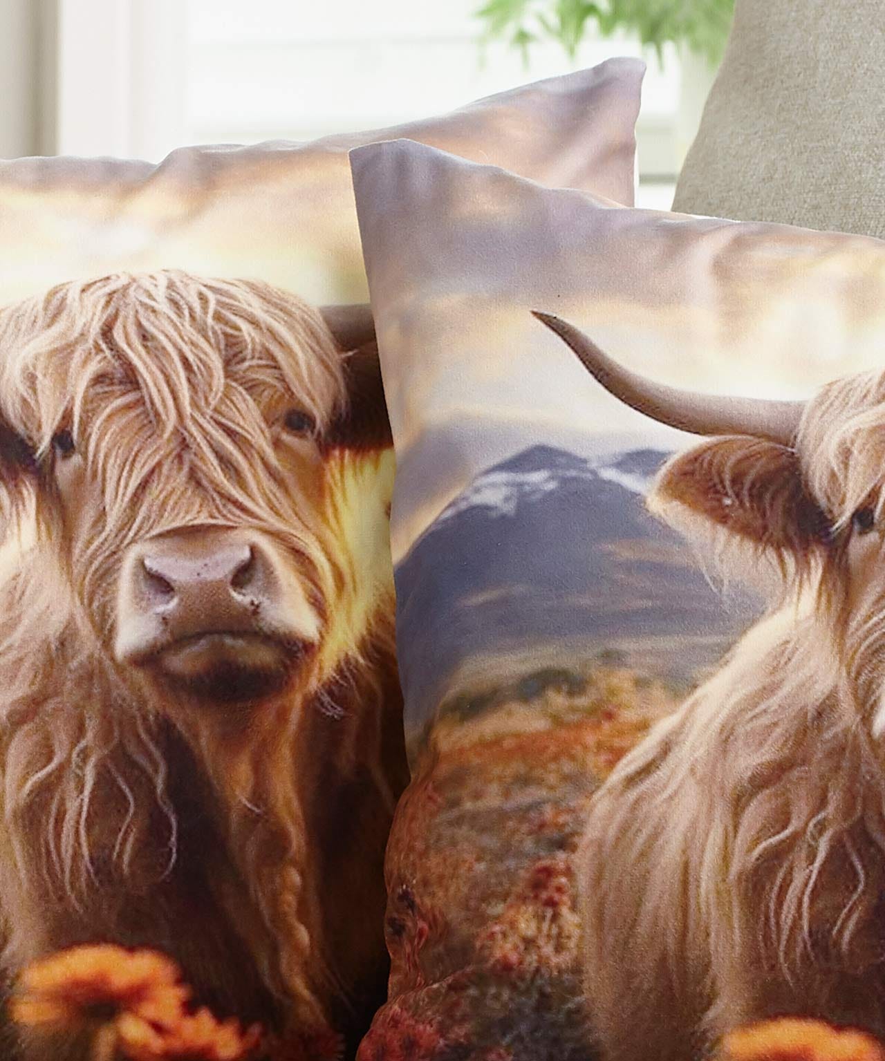 Pack of 2 Highland Cow Cushion Covers