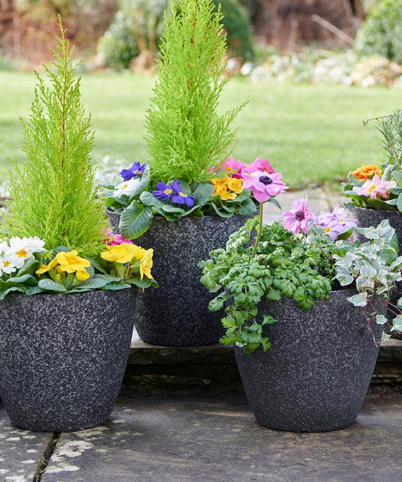 Antique Planters 4 Pack