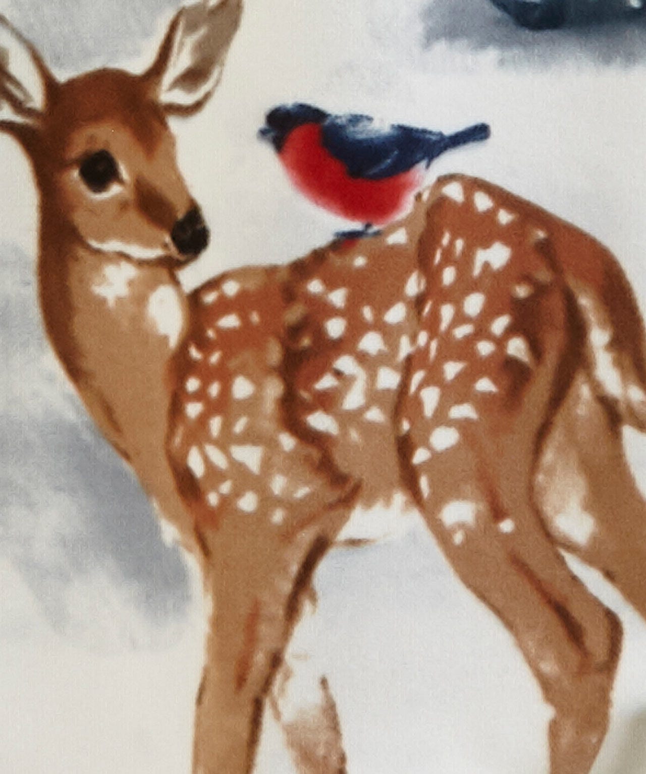 Pack of 2 Winter Forest Fleece Throws