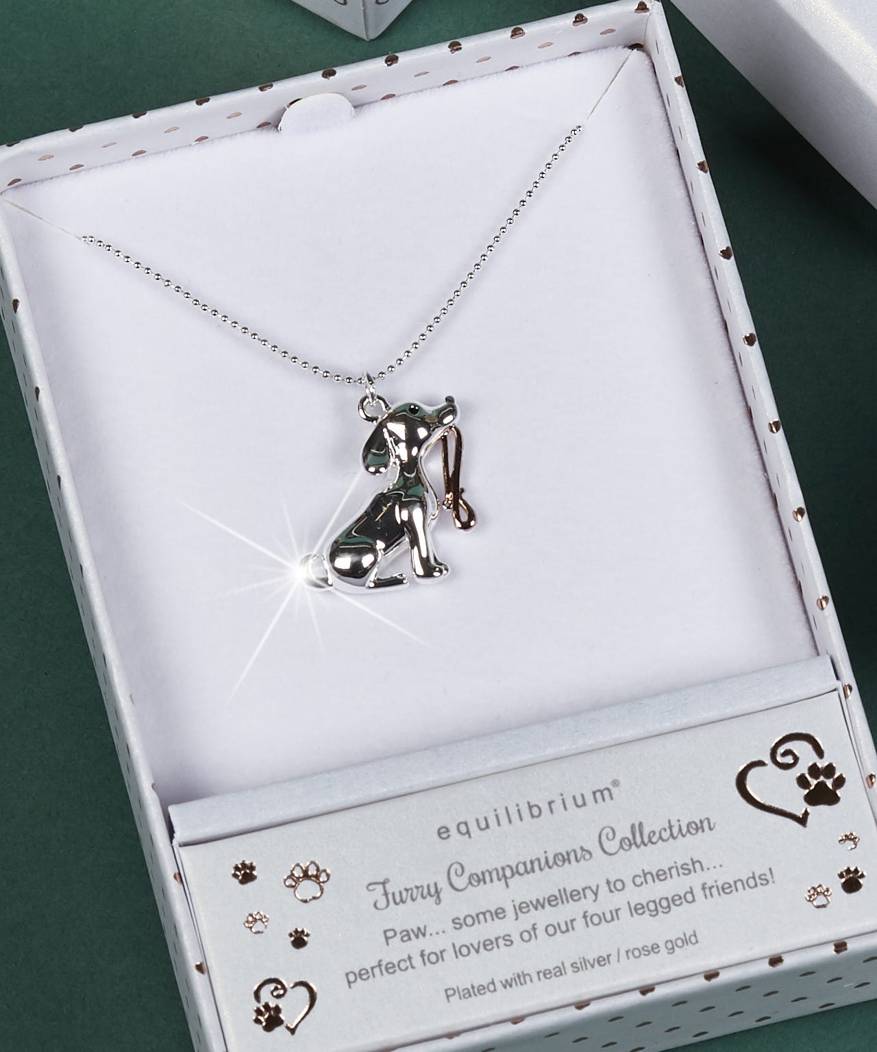 Silver Plated Companion Necklace