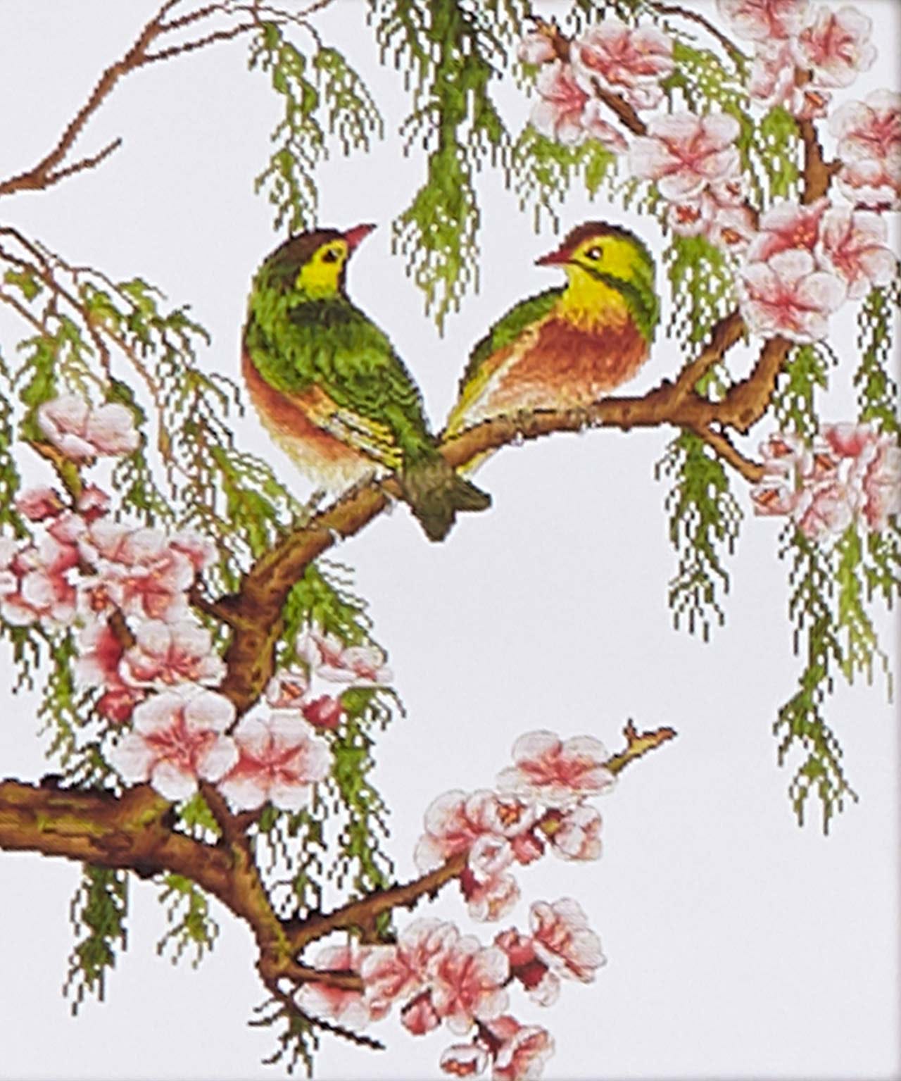 Birds Cross-stitch Set