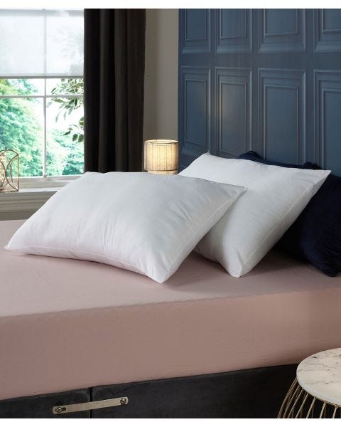 Pack of 2 Eco Pillows