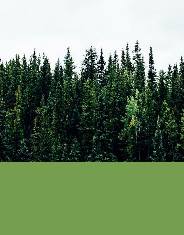 protecting the environment