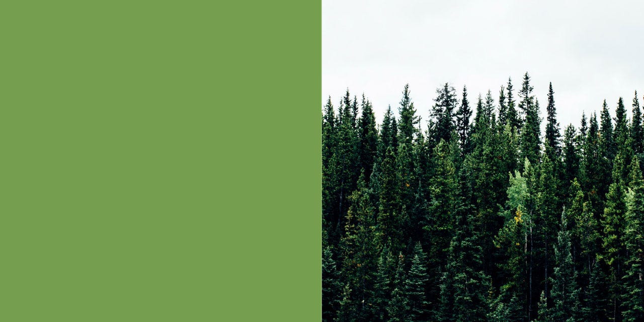 protecting the environment