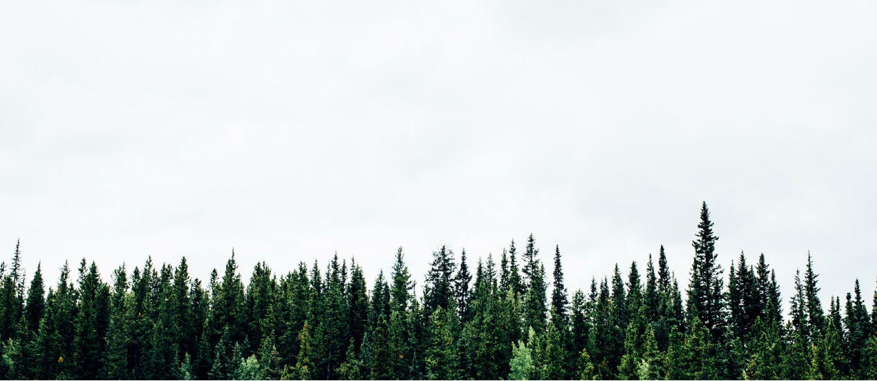 Goals for the environment